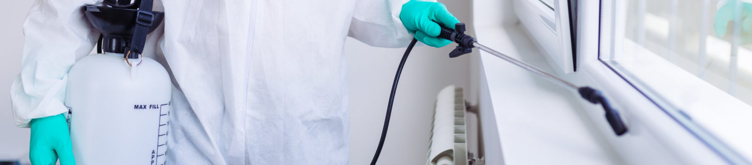 Exterminator In Work Wear Spraying Pesticide With Sprayer